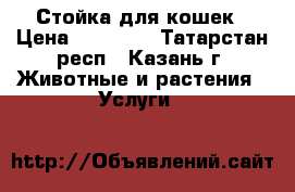 Стойка для кошек › Цена ­ 2.500. - Татарстан респ., Казань г. Животные и растения » Услуги   